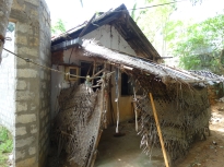 aa