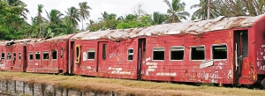 trein